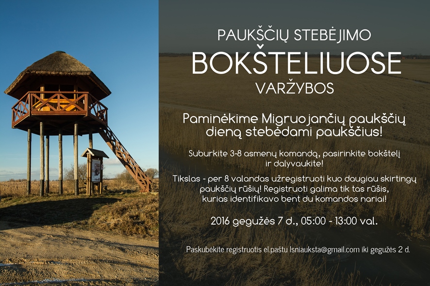 Bokštelių varžybos